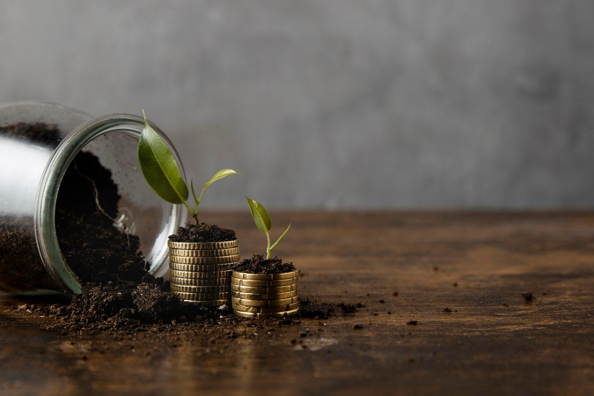 Equity Investment Advisory